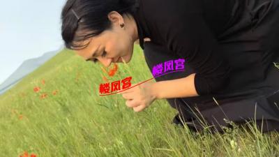 广渠门彩虹