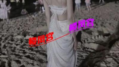 九月验证报告