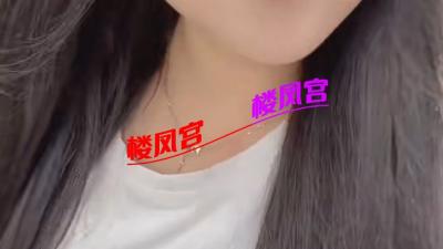 山东性价比很高的贱狗