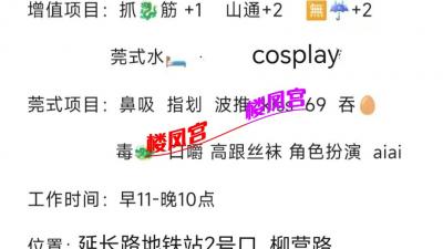 静安延长路大胸少妇初次无套体验