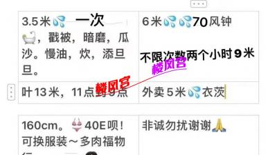 厦门大胸妹子