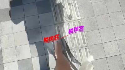 验证微胖小姐姐