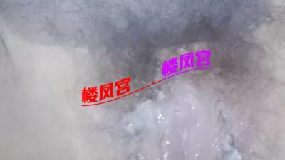 潍坊19坦克可sm