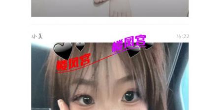 楼凤妹子