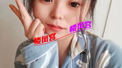 保定小妹