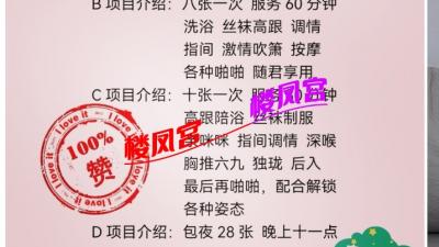 万达广场楼凤